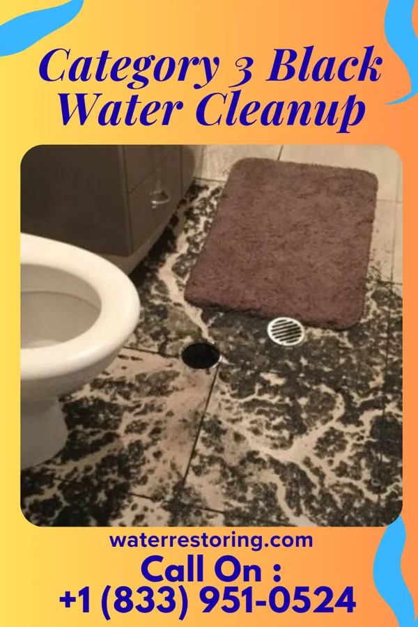 Category 3 Black Water Cleanup in Ellsworth, IA