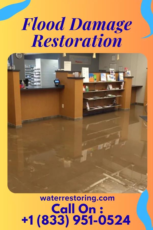 Flood Damage Restoration in Ellsworth, IA