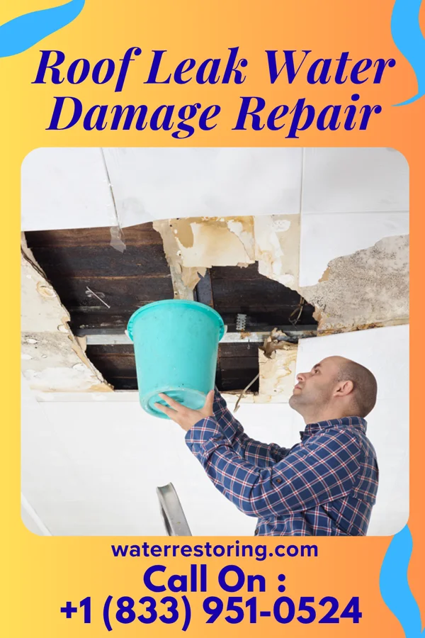 Roof Leak Water Damage Repair in Ellsworth, IA