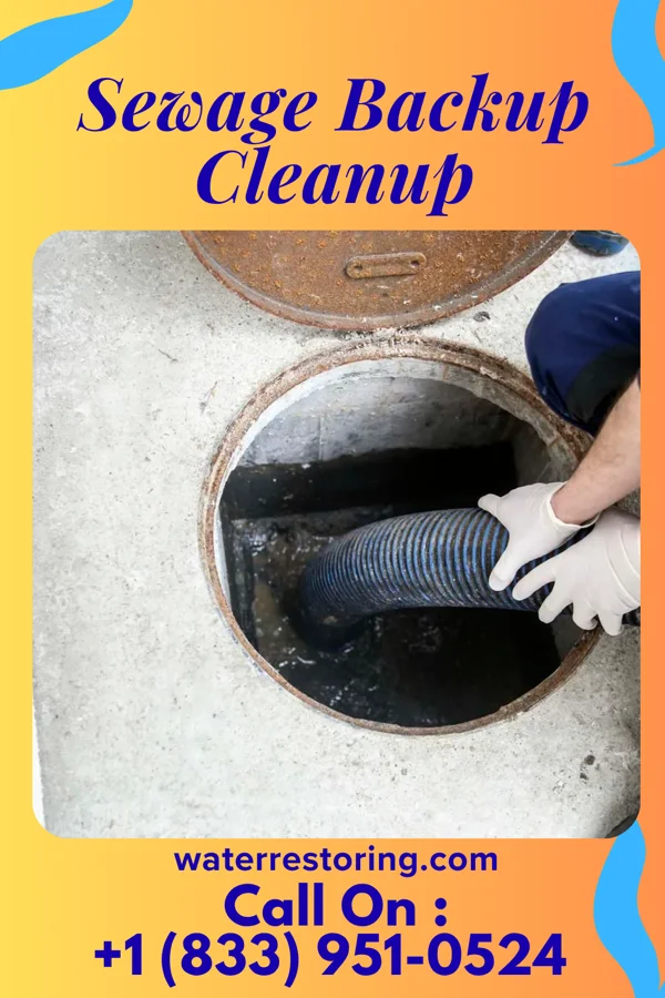 Sewage Backup Cleanup in Ellsworth, IA